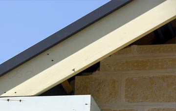 Haydon fascia repairs