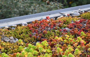 the cost of Haydon green roof installation