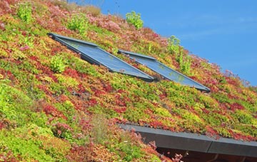 Haydon living roof systems